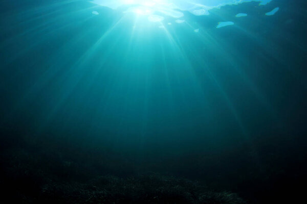 Beautiful underwater landscape of the ocean