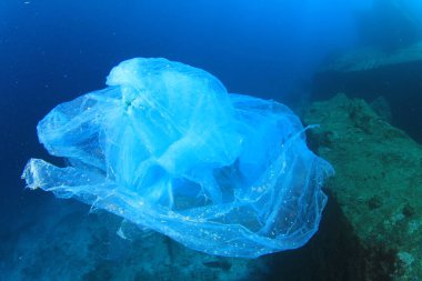 Okyanustaki plastik çöp kirliliği. Çevresel sorun kavramı