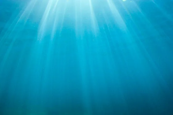 Bela Paisagem Subaquática Oceano — Fotografia de Stock