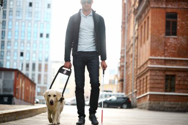 Rehber köpeği olan gözü olmayan adam.