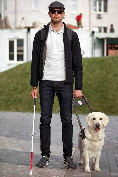 Ciego con bastón y perro guía paseando por el pavimento de la ciudad —  Fotos de Stock