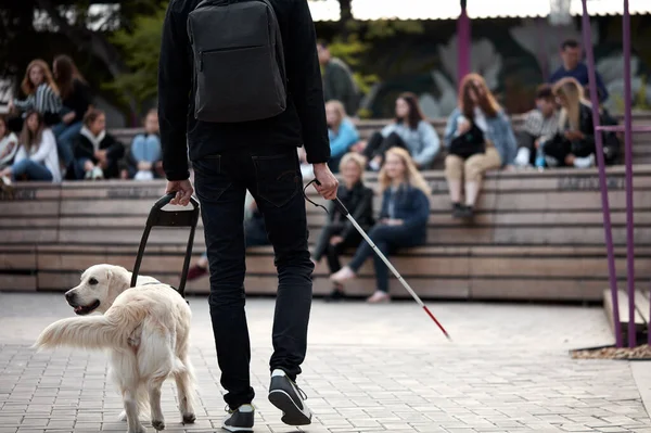 Careful guide dog helping blind man in city — Stock Photo, Image