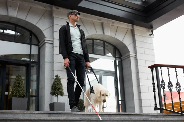 盲人と盲導犬という概念は — ストック写真
