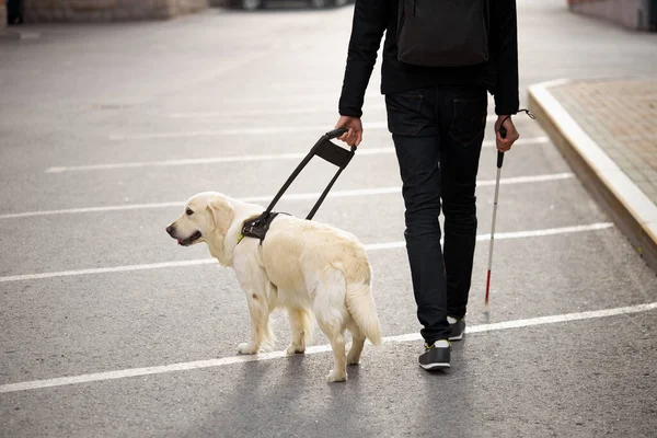 Unrecognizable blind man with helpful dog guide — Stock Photo, Image