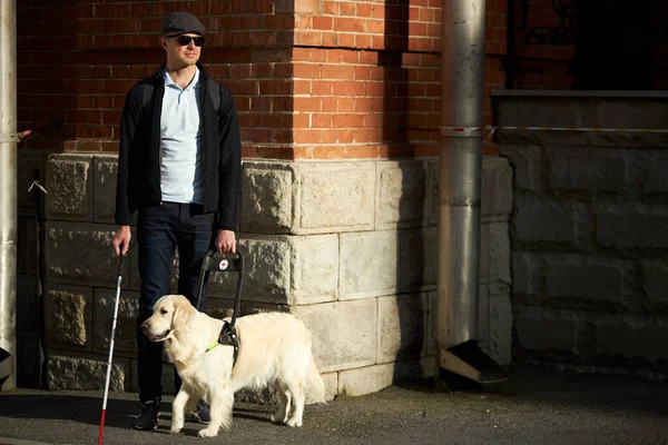 Sick man with blindness get help by dog guide — Stock Photo, Image