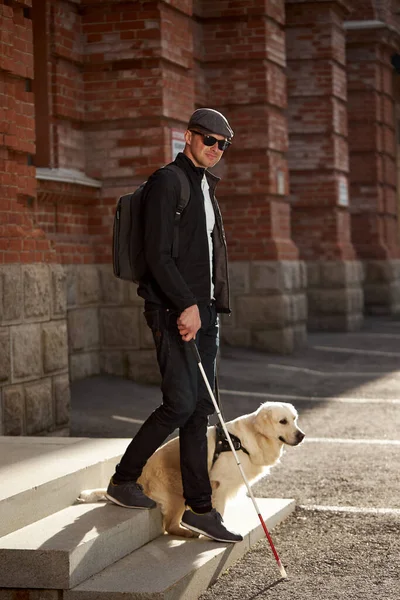 Golden retriever ayuda a una persona a navegar en la calle —  Fotos de Stock