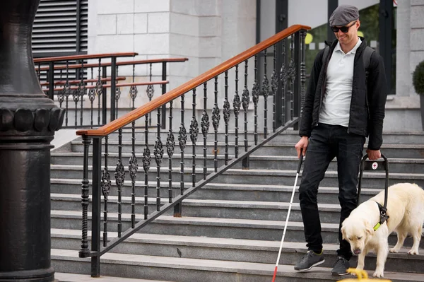 careful guide dog helping blind man in city