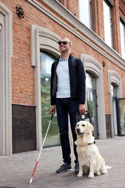 一个盲人，拿着手杖和导盲犬在城里的人行道上行走 — 图库照片