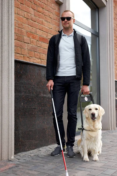 盲人と盲導犬という概念は — ストック写真