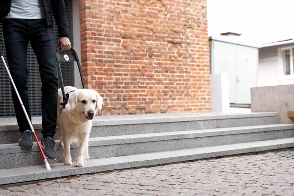 人間の足と盲導犬の切り取られた写真 — ストック写真
