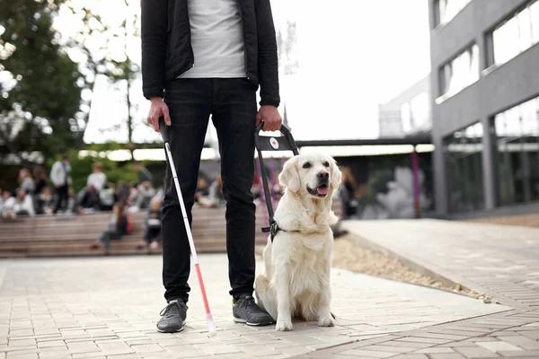 unrecognizable blind man with helpful dog guide