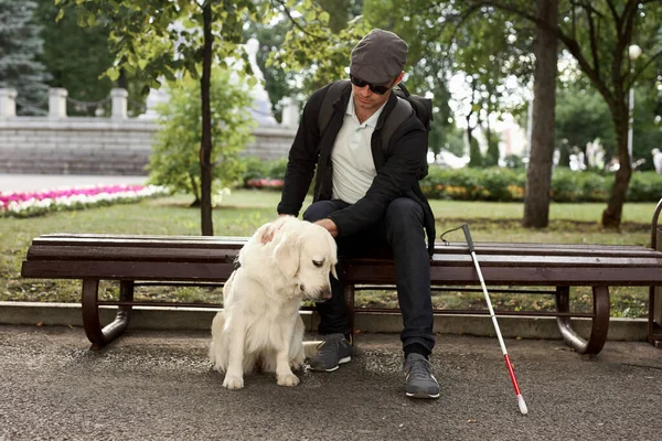 盲人が盲導犬を撫でて — ストック写真