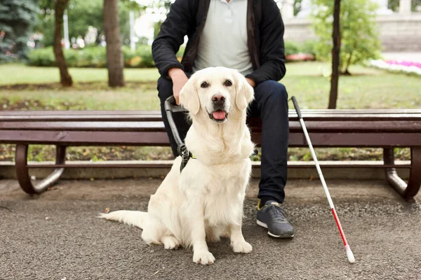 盲人用他的助行导盲犬 — 图库照片