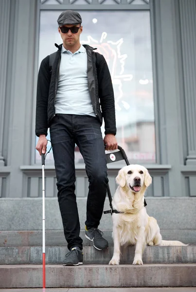 残疾盲人带着导盲犬下楼梯 — 图库照片