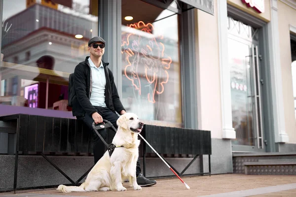 25 años de edad, el hombre sufre de ceguera, obtener ayuda de perro guía —  Fotos de Stock