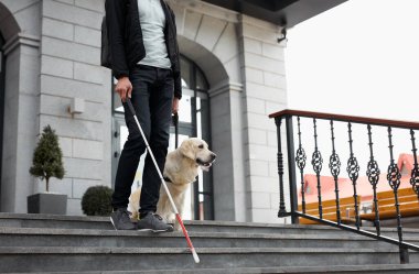 Sopası ve rehber köpeği olan genç kör adam.