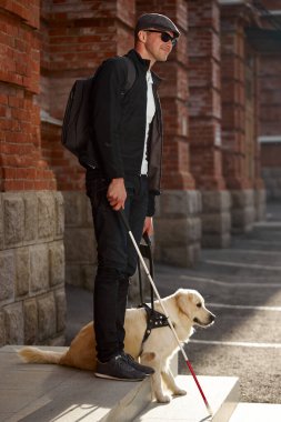 Dikkatli rehber köpek şehirde kör adama yardım ediyor.