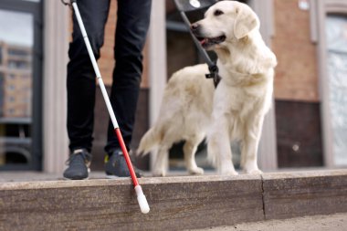 Körlüğü olan hasta adam köpek rehberinden yardım alır.