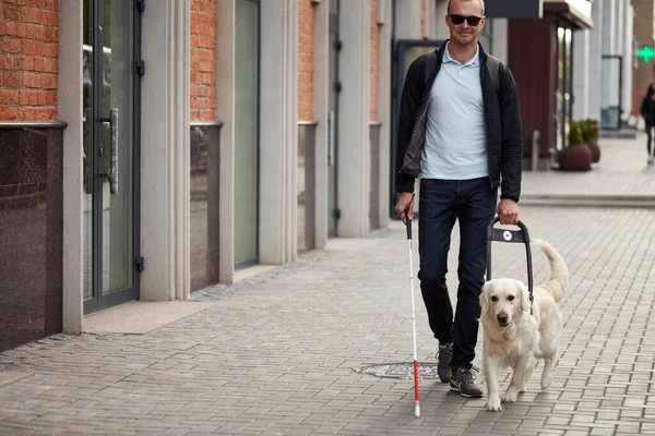 El concepto del ciego inválido y el perro guía —  Fotos de Stock