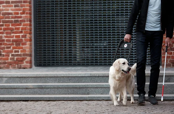 盲人、残疾人和导盲犬的概念 — 图库照片