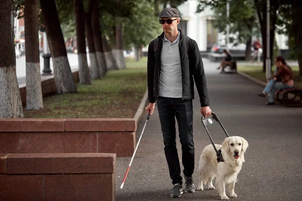 El concepto del ciego inválido y el perro guía —  Fotos de Stock