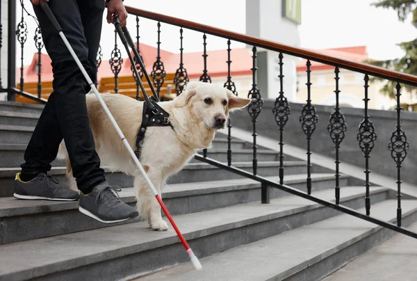 20-25 years old eyeless man with guide dog — Stock Photo, Image