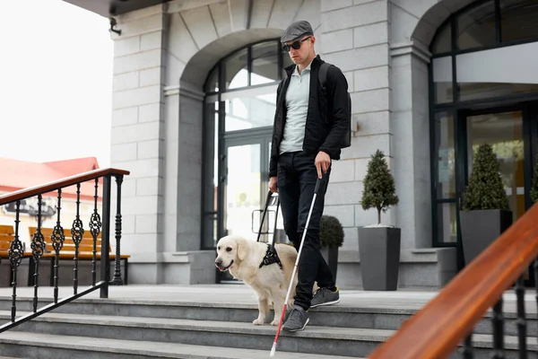 blind man with disability walking down the stairs with a guide dog