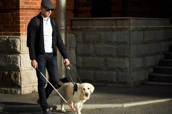 Perro guía cuidadoso ayudar a hombre ciego en la ciudad — Foto de Stock