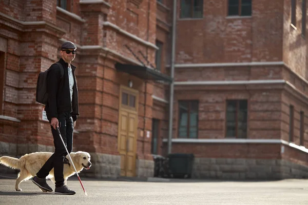 Guide dog helping blind person with long cane walking in city — Stock Photo, Image