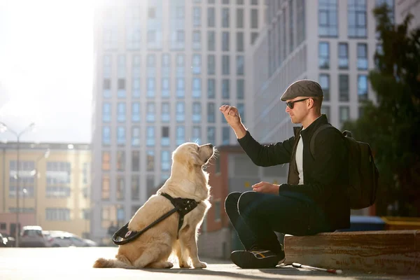 Ciego entrenamiento golden retriever al aire libre, dando orden de obediencia —  Fotos de Stock