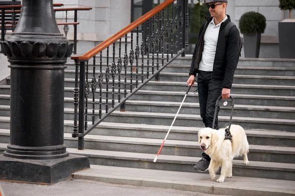 Ciego con discapacidad bajando las escaleras con un perro guía —  Fotos de Stock