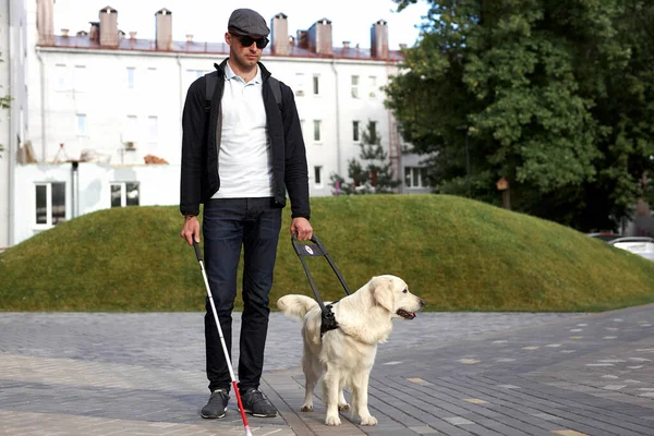 Blind man with cane and guide dog walking on pavement in town — Stock Photo, Image