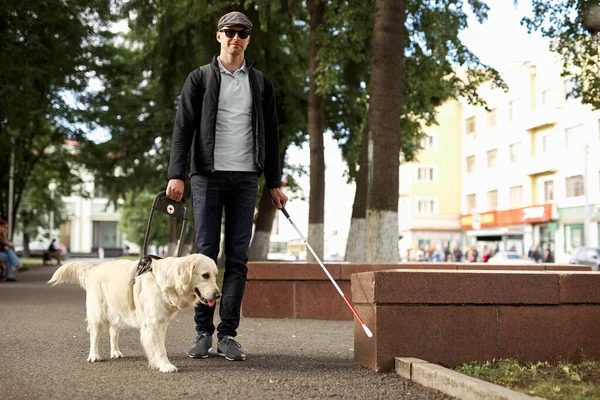 Sick man with blindness get help by dog guide — Stock Photo, Image