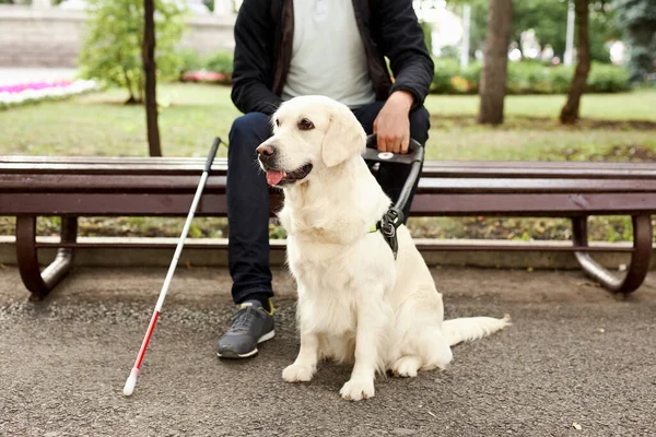 Persona discapacitada sentarse a descansar con perro guía al aire libre —  Fotos de Stock