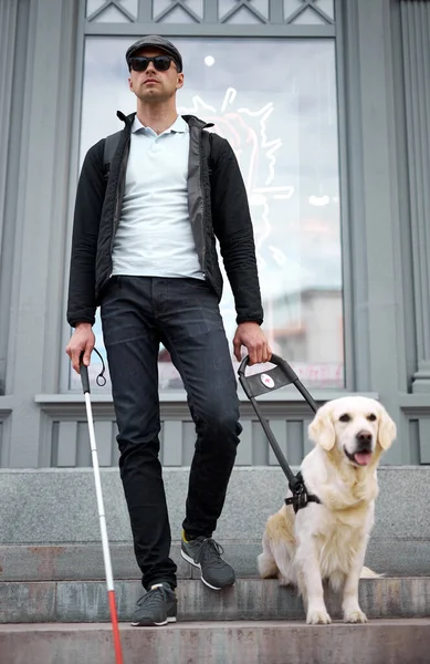 Perro guía ayuda al dueño a bajar las escaleras —  Fotos de Stock