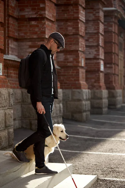 Perro guía ayuda al propietario a moverse libremente en la gran ciudad —  Fotos de Stock