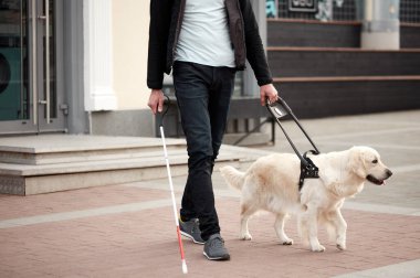 Köpek yavrusu rehberliğinde kör adam.