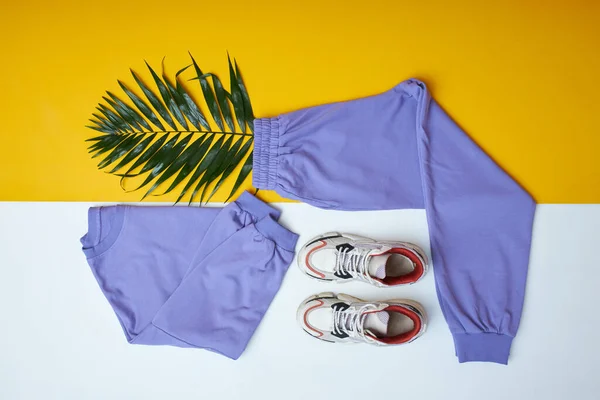 时尚而活泼的紫色服装平铺 — 图库照片