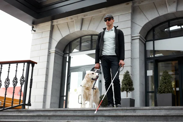 Perro guía ayuda al dueño a bajar las escaleras —  Fotos de Stock