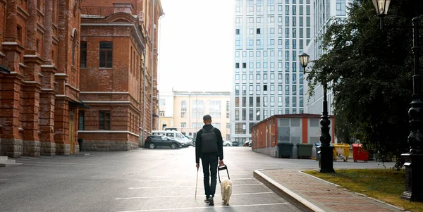 blind man with cane and guide dog walking on pavement in town