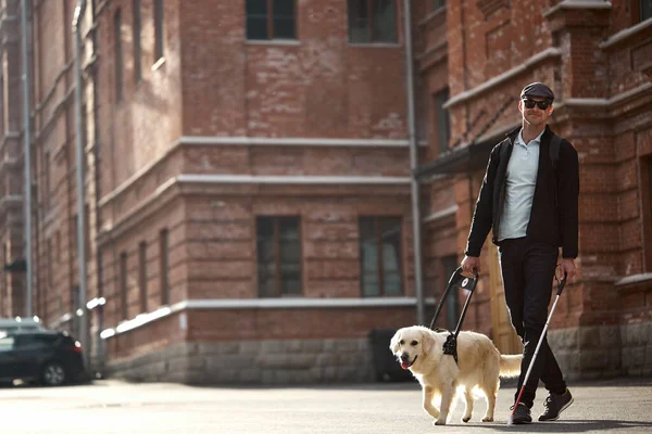 20-25 years old eyeless man with guide dog — Stock Photo, Image