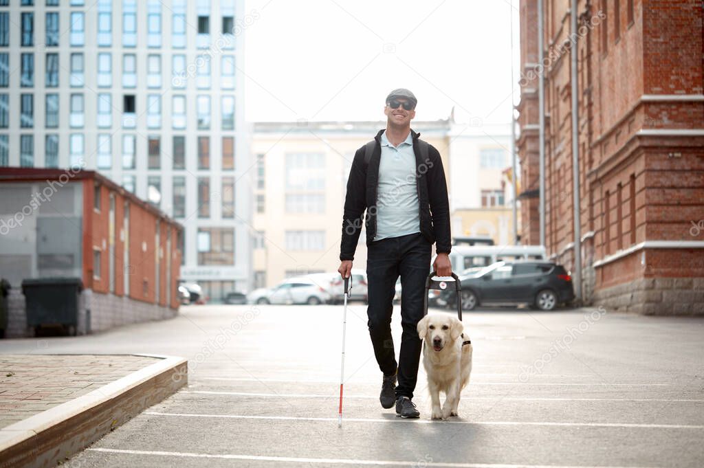blind man with cane and guide dog walking on pavement in town