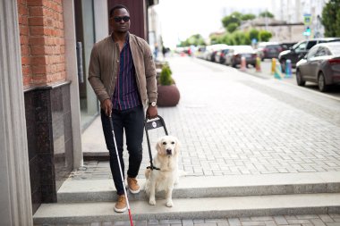 Golden Retriever siyah afro adama yardım ediyor.