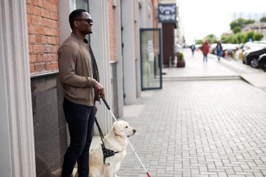 Köpek rehberi taşıyan Afrikalı kör adam.