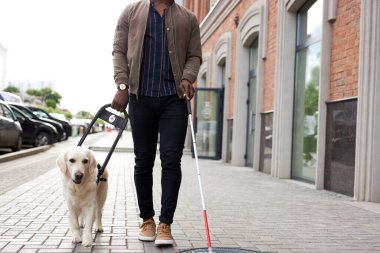 Köpek yavrusu rehberliğinde kör adam.