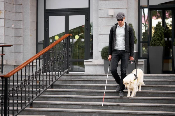 Perro guía ayuda al dueño a bajar las escaleras —  Fotos de Stock