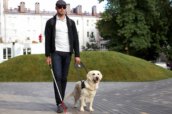 Perro guía ayudar a los ciegos con bastón largo caminar en la ciudad —  Fotos de Stock