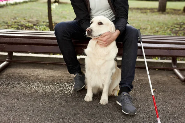 Hombre ciego acariciando perro guía, cuidando mascota favorita —  Fotos de Stock