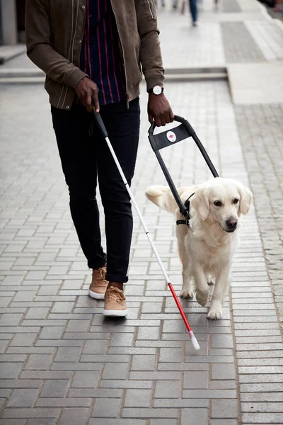 Blind man guided by puppy — Stock Photo, Image