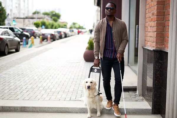 Africano ciego chico con perro guía caminar —  Fotos de Stock